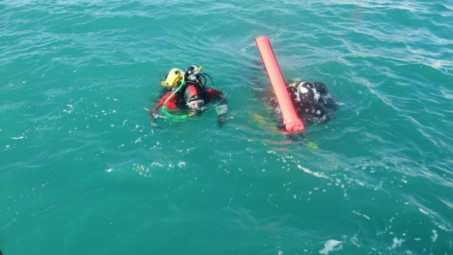 Waiting for pick up.