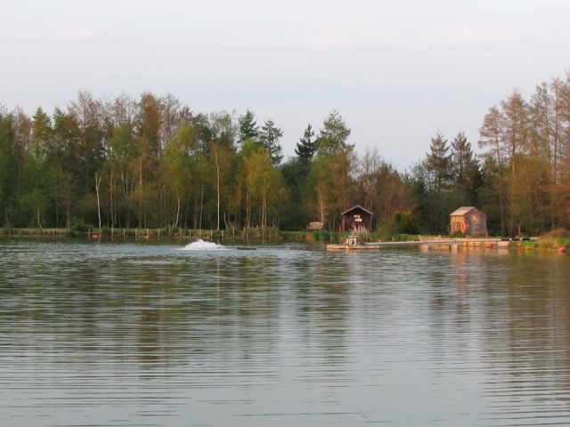  Un grand lac plein de grands poissons.