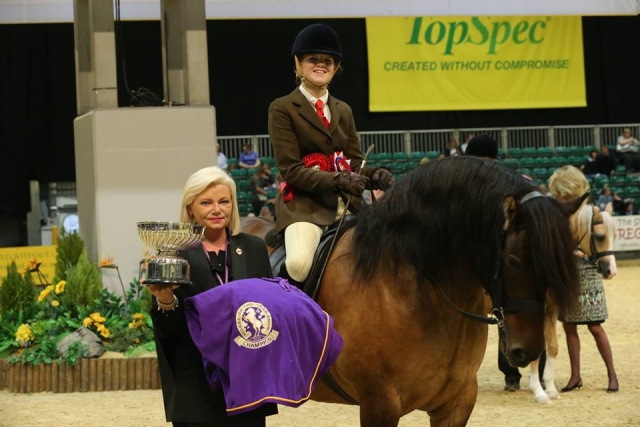 The Pony Club Championships at The Pony Club 