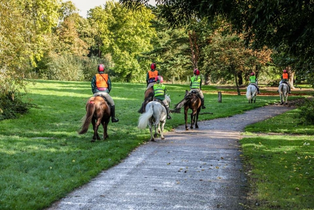 Hacking at The Pony Club