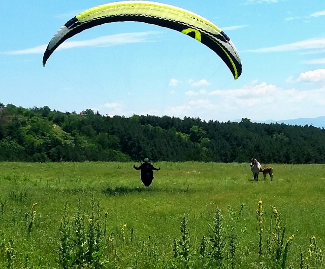  bellissimo atterraggio! 