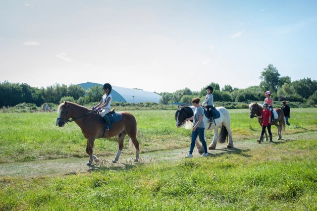  Montar a caballo con tus amigos.