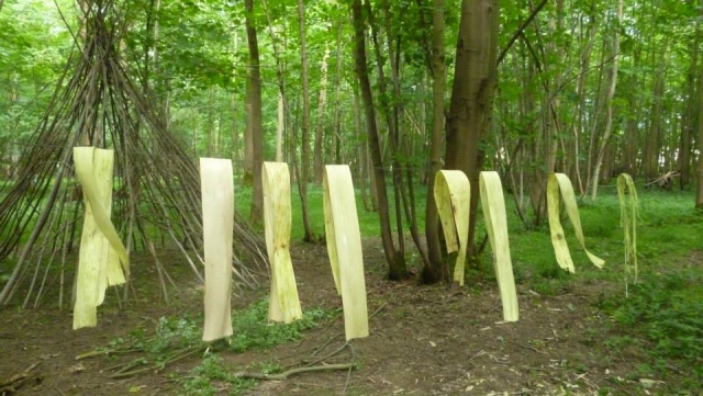  Eine der Fähigkeiten, die wir Ihnen zeigen werden 