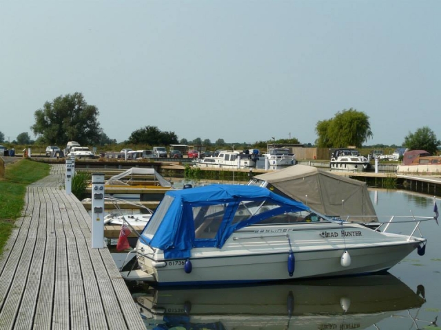 Marina de peixes e pato 