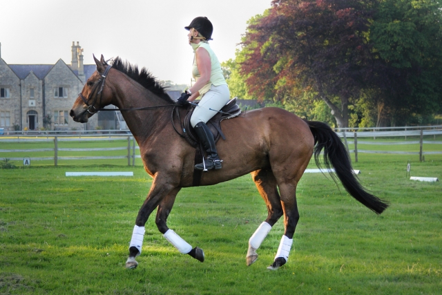 Practice at Lion Royal Hotel, Pony Trekking & Motorcycle Trail Riding Centre