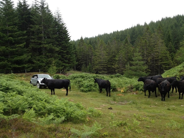 Scotland is a fantastic place to drive a Land Rover!