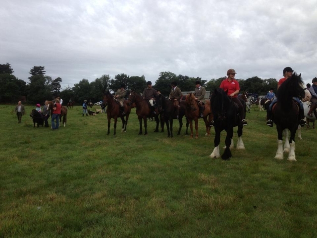  Cours d'équitation à Hurst Green Shires Trekking 