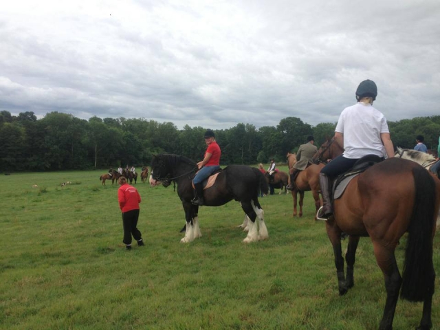  Cours d'équitation à Hurst Green Shires Trekking 