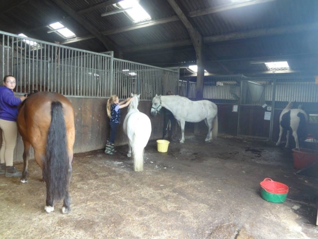 Inside our stables