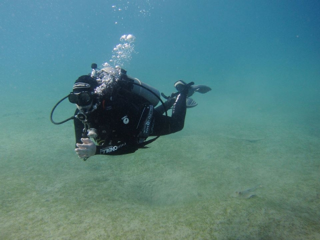  Plongée sous-marine 