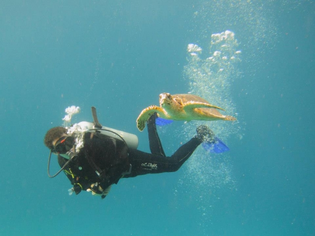  Nagez avec les créatures marines ! 