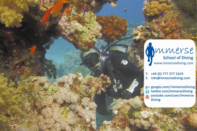  Immerse School of Diving