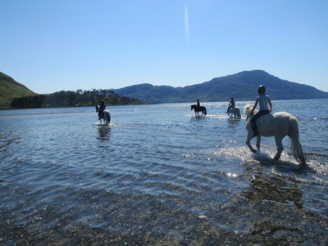 Paddling in the sun