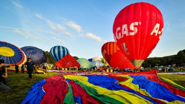 Vibrant!