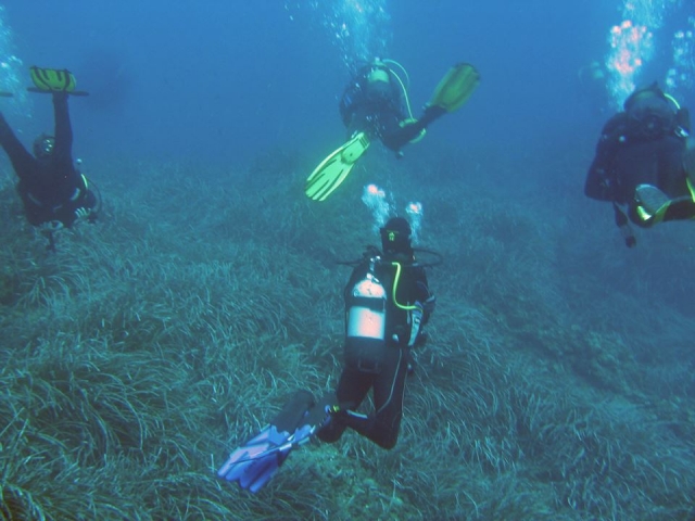  Trabalho com as pessoas por volta de -9999- que sorriso ... 