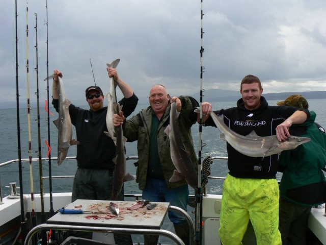 Pêche quelque chose de nouveau 