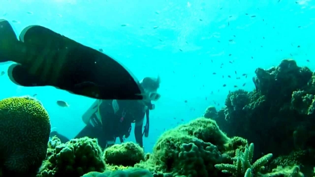  un pequeño amigo frente a 