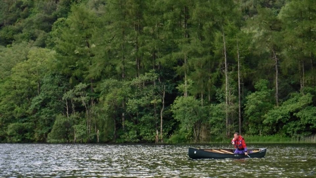  Canoa e foresta 