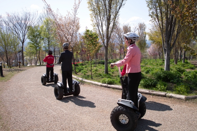 Segway and the City