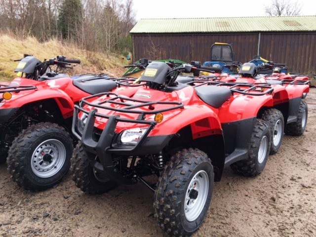  Quads 