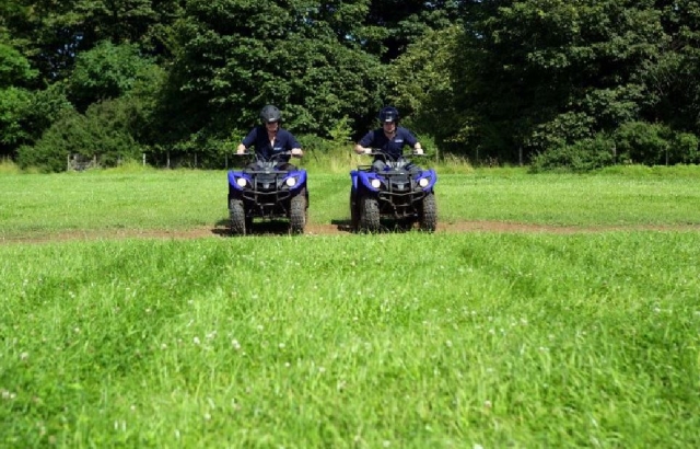  四边形的合作伙伴 