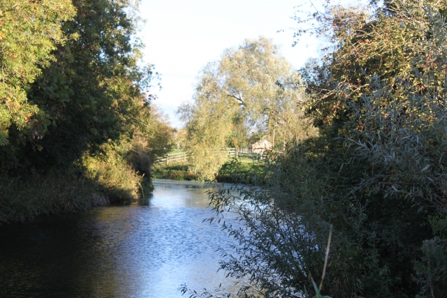The River Brue