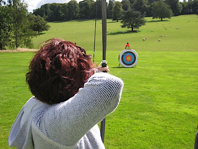 Aim On Point