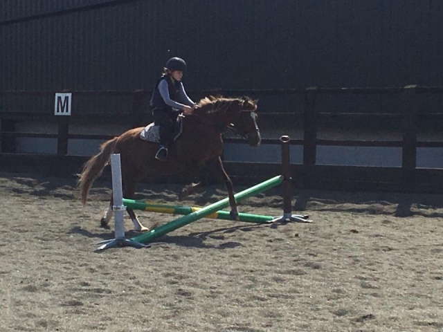 Jumping and hacking at TLE Equestrian Centre