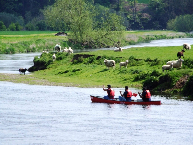 Canoeing 