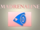Mad-Renaline Activity Centre