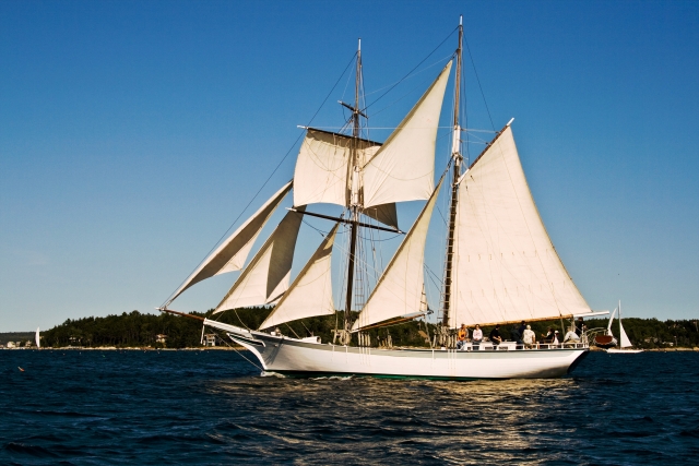  Sailing 