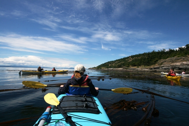  Kayaking 