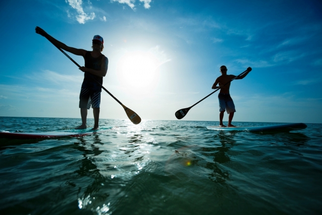  Paddle duplo 