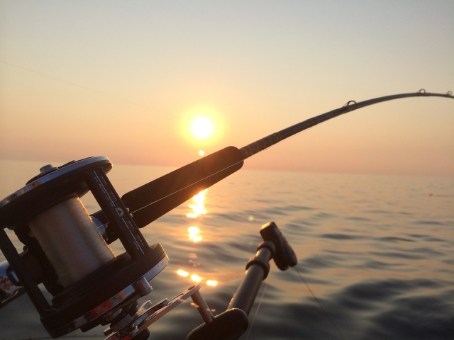 Fishing 