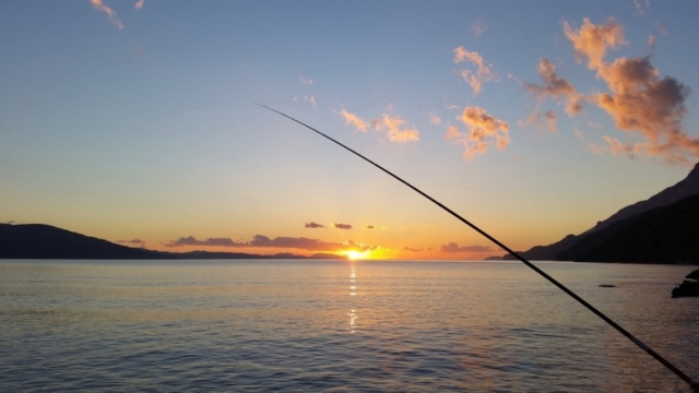 Fishing 