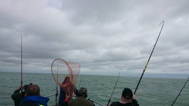  Pesca 