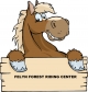 Felyn Forest Riding Centre Horse Riding
