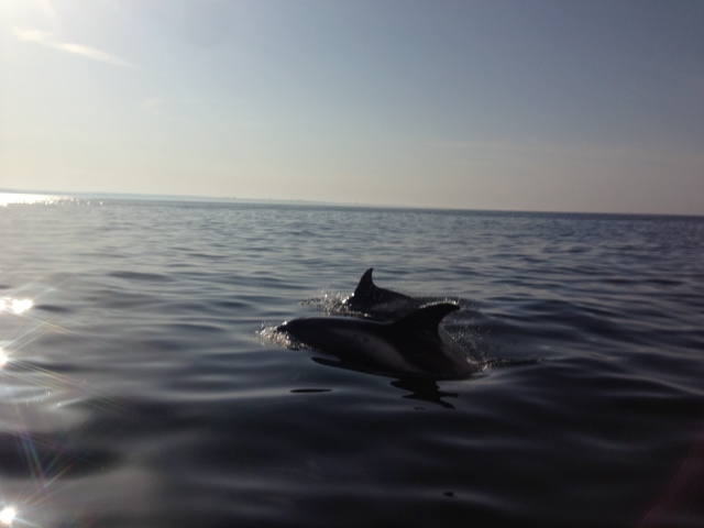  Ruhiges Wasser am Meer 
