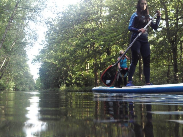  完美时刻的完美画面 