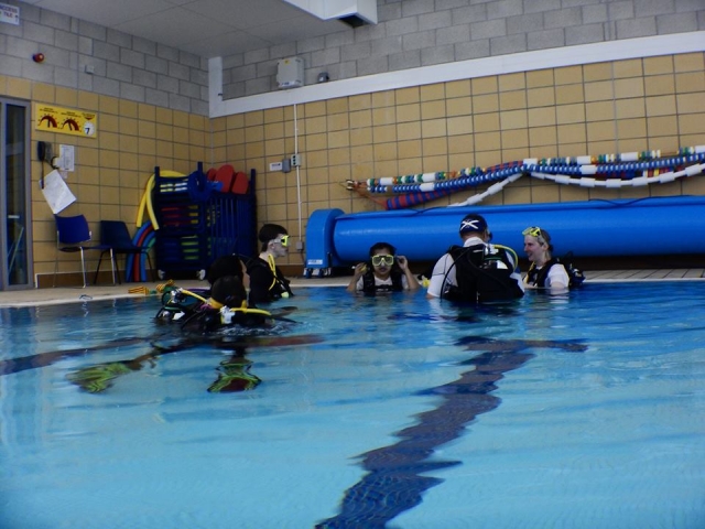 Our professional diving place