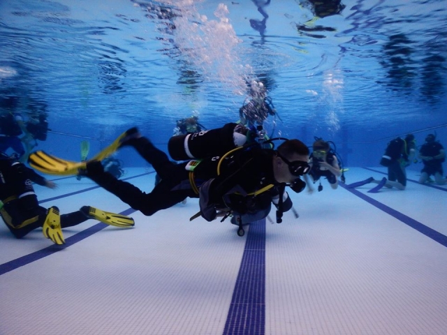 Diving activity in UK 