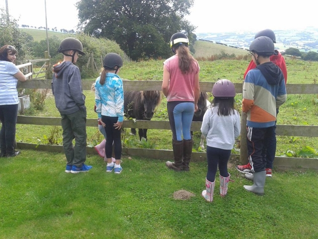 Children love ponies