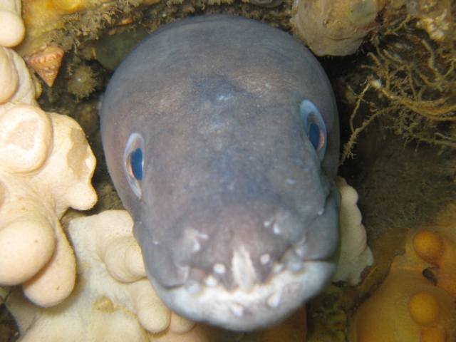  Scatta splendide foto nei nostri viaggi al mare 