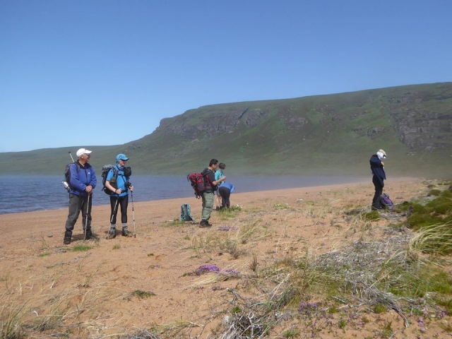  Esplorare alcune montagne del deserto 