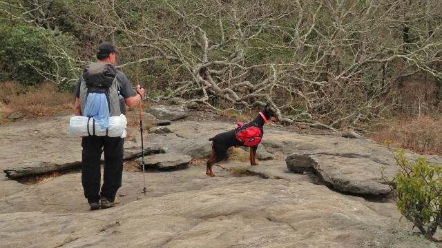  la migliore compagnia 