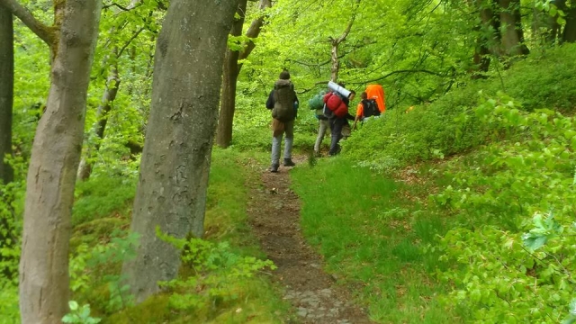  在树林里徒步旅行