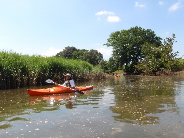 kayaking on the river