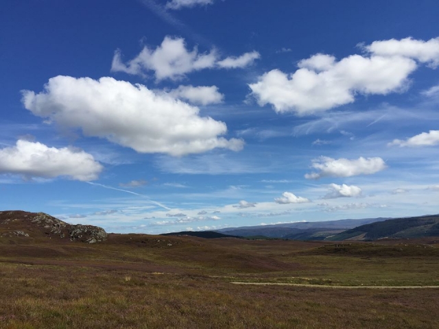 the lovely highlands