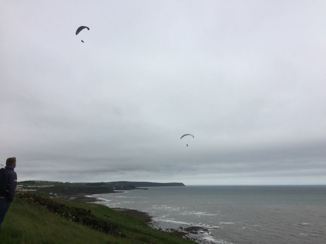 gliding over the sea