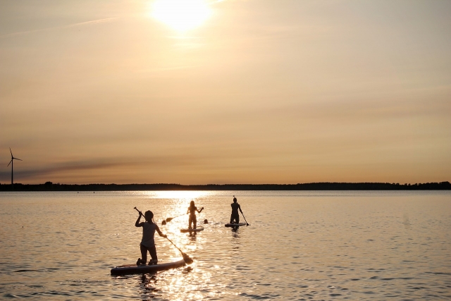  Stand Up Paddle 